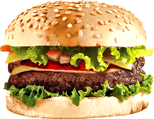 foodmood burger demo collection 2